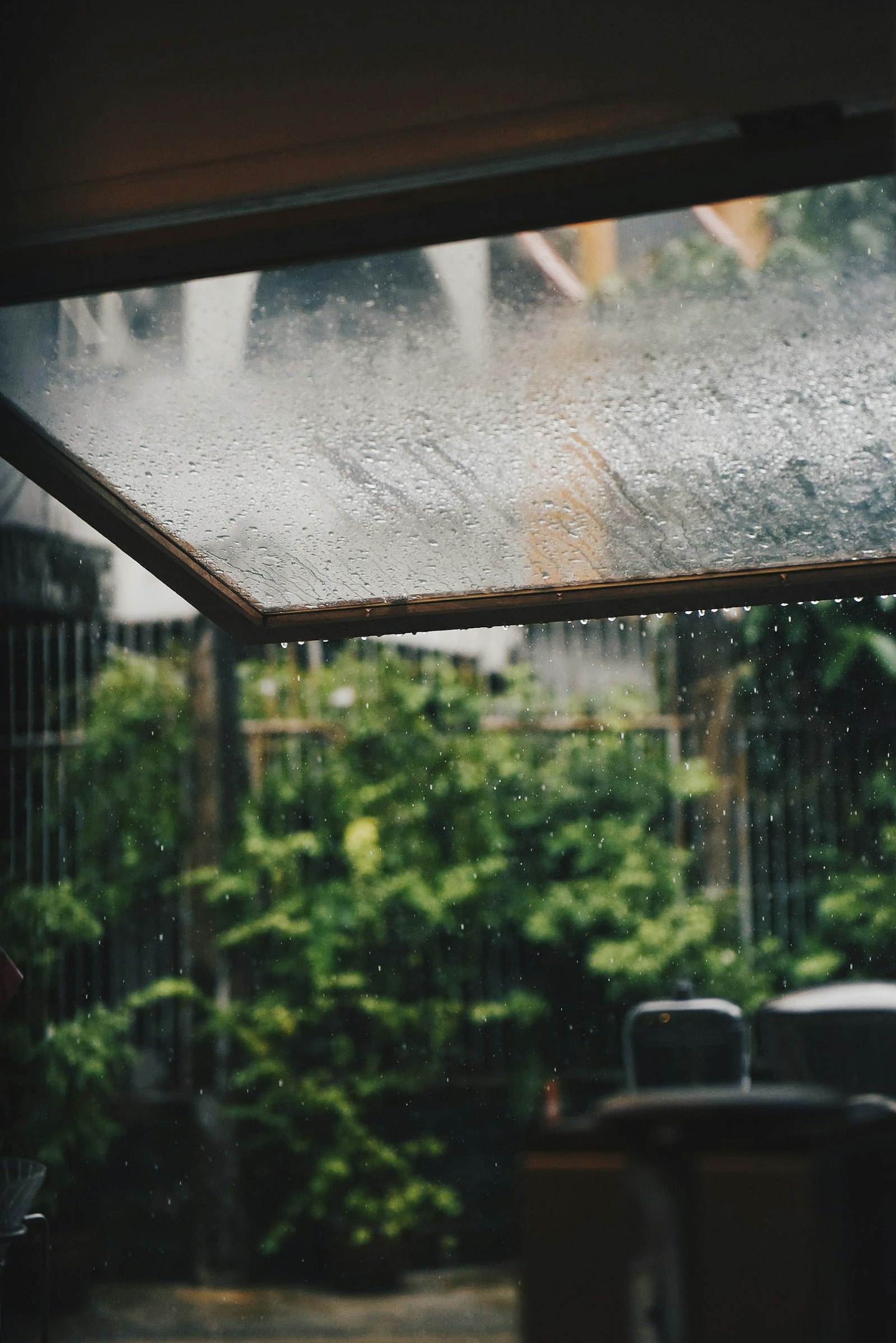 Rain drops on a window pane